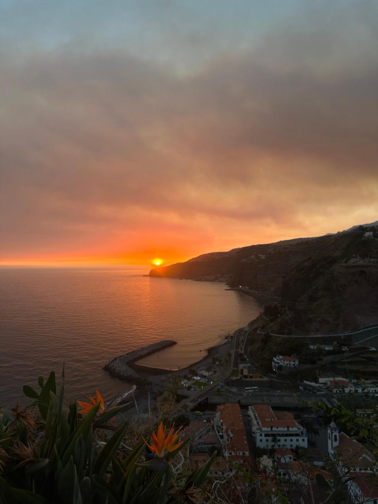 Blue Paradise Apartment Ribeira Brava Eksteriør billede